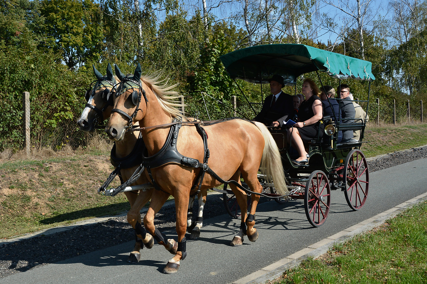 01. Sázení Stromu svobody (03).jpg